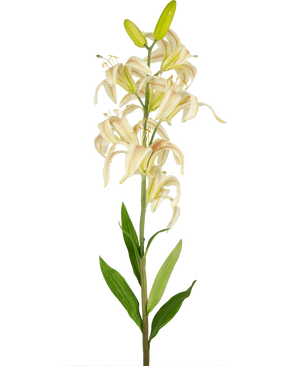 Une seule grande fleur artificielle de lys Martagon de 78 cm rose avec des fleurs de lys roses et des feuilles vertes sur un fond blanc uni ; certaines fleurs sont ouvertes tandis que deux boutons au sommet restent fermés.