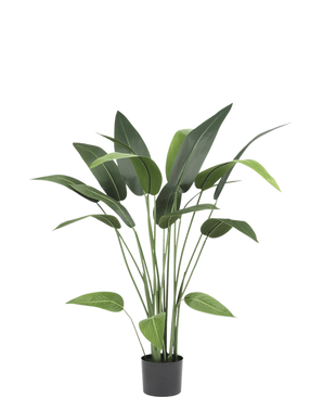 La plante artificielle Heliconia 110 cm, avec de longues tiges et de larges feuilles vertes, est idéale pour les petits espaces ou comme décoration artificielle de salle de bain, magnifique sur un fond blanc uni.