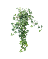 Le Lierre Artificiel Deluxe Vert 60 cm est une plante de lierre artificielle luxuriante avec des feuilles vertes en cascade sur un fond blanc uni.