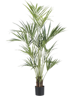 De Kunstplant Kentia Palm 180 cm heeft lange, slanke groene bladeren en meerdere dunne stelen in een zwarte pot, tegen een effen witte achtergrond.
