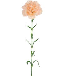 Fleur artificielle Oeillet 69 cm pêche