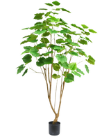 La plante artificielle Ficus 180 cm est une grande plante d'intérieur en pot avec plusieurs fines tiges brunes et de grandes feuilles vertes, représentées sur un fond blanc uni.