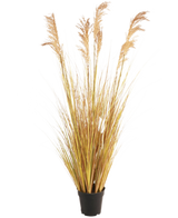 De Kunst Grasplant Sorghum 130 cm brandvertragend, met zijn slanke geelgroene bladeren en vederlichte bruine pluimen, benadrukt de nieuwste woontrend tegen een effen witte achtergrond.