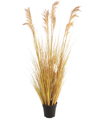 Gazon artificiel Sorghum 130 cm ignifugé