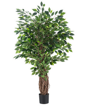 La Plante Artificielle Ficus Tropical Liana 150 cm est un grand arbre artificiel au tronc tressé et aux feuilles vertes denses, présenté dans un petit pot noir sur un fond uni blanc.