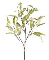 La Branche Artificielle Eucalyptus Niphophila 108 cm vert possède un seul tronc brun avec plusieurs branches fines, chacune décorée de feuilles allongées vert clair, sur un fond uni blanc.