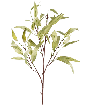 La Branche Artificielle Eucalyptus Niphophila 108 cm vert possède un seul tronc brun avec plusieurs branches fines, chacune décorée de feuilles allongées vert clair, sur un fond uni blanc.