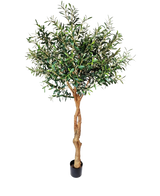 L'olivier artificiel 190 cm possède un tronc torsadé marron clair et des feuilles vertes denses qui ajoutent une atmosphère méditerranéenne. Posé sur un fond blanc uni, il est parfait pour une décoration intérieure élégante.