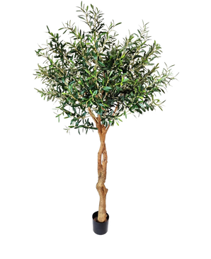 L'olivier artificiel 190 cm possède un tronc torsadé marron clair et des feuilles vertes denses qui ajoutent une atmosphère méditerranéenne. Posé sur un fond blanc uni, il est parfait pour une décoration intérieure élégante.