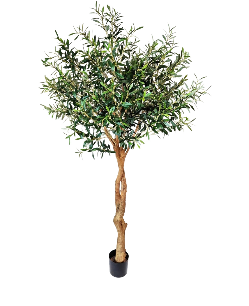 L'olivier artificiel 190 cm possède un tronc torsadé marron clair et des feuilles vertes denses qui ajoutent une atmosphère méditerranéenne. Posé sur un fond blanc uni, il est parfait pour une décoration intérieure élégante.