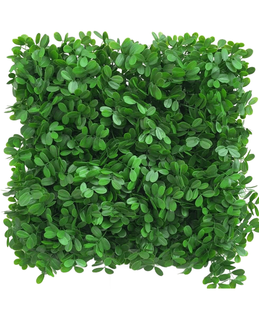 La haie artificielle Schefflera 50x50 cm UV présente une zone carrée dense de feuilles vertes artificielles, disposées pour créer une surface feuillue texturée sur un fond blanc.