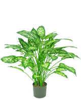 La Plante Artificielle Dieffenbachia 75 cm est une plante en pot verte avec de grandes feuilles pointues aux nuances panachées de vert clair et de blanc, représentées sur un fond blanc uni.
