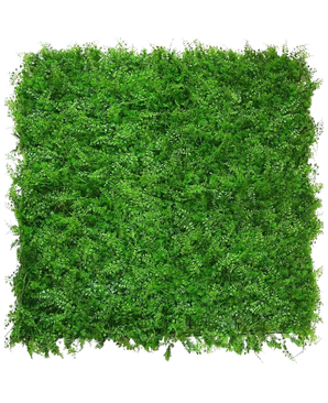 La fougère/conifère de haie artificielle 50x50 cm est un tapis dense et carré de feuillage vert vif avec de petites folioles, vu de dessus sur un fond blanc, ressemblant à une haie verte naturelle et luxuriante avec une surface uniforme et texturée.