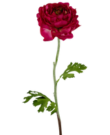 La Fleur Artificielle Renoncule 51 cm rose foncé est une renoncule artificielle rose foncé avec des pétales superposés, une longue tige verte et des feuilles vertes profondément lobées, isolées sur un fond blanc.