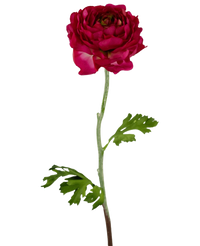 Fleur artificielle Ranunculus 51 cm rose foncé