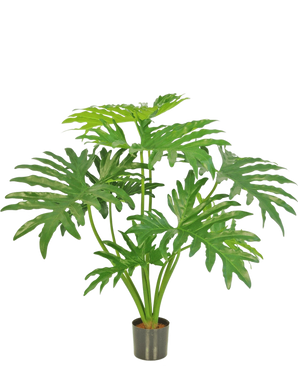 De Kunstplant Philodendron 80 cm is een kunstplant met grote, verdeelde groene bladeren in een kleine zwarte pot, afgebeeld tegen een effen witte achtergrond.