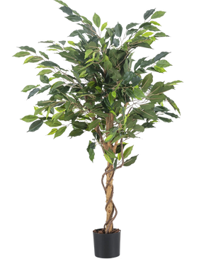La Plante Artificielle Ficus Vert 120 cm possède des feuilles vertes et une tige torsadée, dans un petit pot noir sur un fond uni blanc.