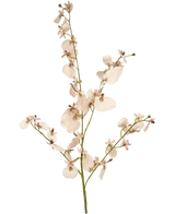 L'Orchidée Branche Artificielle 80 cm rose a une seule tige d'orchidées artificielles rose clair avec de multiples fleurs et petits bourgeons sur de fines branches vertes, sur un fond blanc simple.