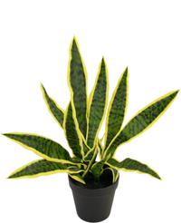 Plante artificielle Sansevieria Laurentii 44 cm dans un pot ornemental