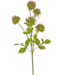 Fleur artificielle Chardon 66 cm marron