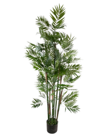 De Kunstplant Parlour 180 cm is een hoge kunstpalm met meerdere slanke stelen en levendig groene bladeren in een kleine zwarte pot, tegen een witte achtergrond.