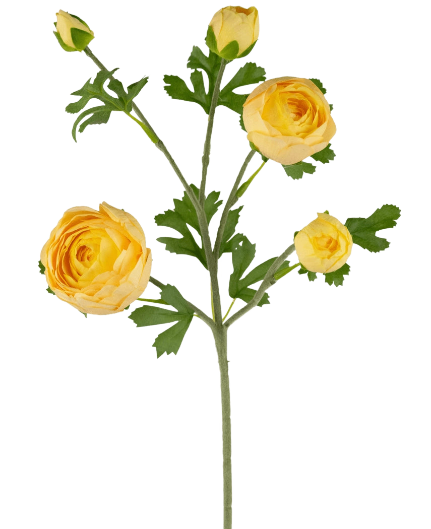 La Branche de Renoncule Artificielle x5 Real Touch jaune 62cm possède une seule tige verte avec de multiples renoncules et bourgeons jaunes, accentués par des feuilles vertes, sur fond blanc.