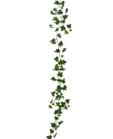 La Plante artificielle suspendue Lierre guirlande deluxe 180 cm vert est une longue guirlande de lierre vert avec des feuilles pointues qui pend verticalement sur un fond blanc uni.