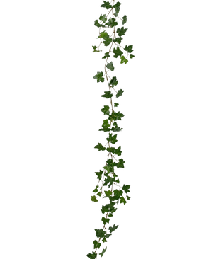 La Plante artificielle suspendue Lierre guirlande deluxe 180 cm vert est une longue guirlande de lierre vert avec des feuilles pointues qui pend verticalement sur un fond blanc uni.
