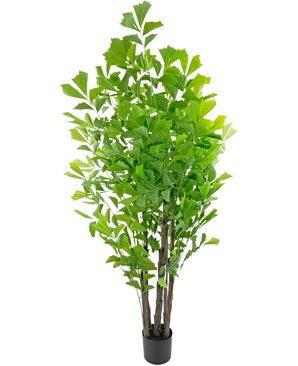 De Kunstplant Fishtailpalm 210 cm is een hoge kunstplant in pot met meerdere bruine stengels en weelderige groene bladeren, gepresenteerd in een kleine zwarte pot tegen een witte achtergrond.