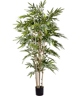 La plante artificielle Bambou 180 cm a de fines tiges marron clair et de longues feuilles vertes abondantes dans un petit pot noir, sur un fond blanc uni.