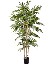 Plante artificielle Bambou 180 cm