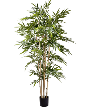 La plante artificielle Bambou 180 cm a de fines tiges marron clair et de longues feuilles vertes abondantes dans un petit pot noir, sur un fond blanc uni.