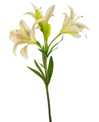 Fleur artificielle Lys asiatique 66 cm rose