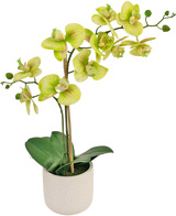 L'Orchidée Artificielle Real Touch 60 cm verte est une orchidée artificielle en pot avec des fleurs vert clair et jaunes, plusieurs bourgeons verts sur de longues tiges et de larges feuilles vert foncé dans un simple pot blanc.