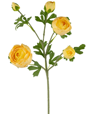 De Ranonkel kunsttak x5 Real Touch geel 62cm heeft een enkele groene steel met meerdere gele ranonkels en knoppen, geaccentueerd door groene bladeren, tegen een witte achtergrond.