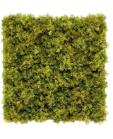 La Haie Artificielle Nordic Moss 50x50 cm UV est un panneau carré densément recouvert de mousse verte luxuriante sur fond blanc, créant un aspect texturé et naturel parfait pour les intérieurs chics.