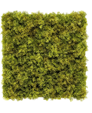 La Haie Artificielle Nordic Moss 50x50 cm UV est un panneau carré densément recouvert de mousse verte luxuriante sur fond blanc, créant un aspect texturé et naturel parfait pour les intérieurs chics.
