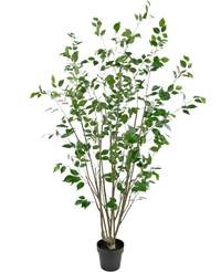 Plante artificielle Ficus 180 cm