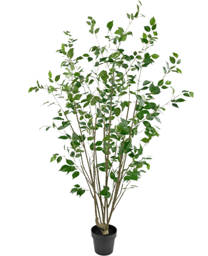 La Plante Artificielle Ficus 180 cm est un grand arbre artificiel en pot avec plusieurs troncs bruns élancés et des feuilles vertes denses sur un fond uni blanc.