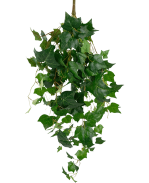 De Kunst klimop reuzenbladeren 100cm hebben weelderige groene klimopbladeren met puntige randen en slingerende ranken, prachtig weergegeven tegen een effen witte achtergrond.
