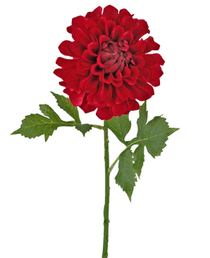 Fleur artificielle Dahlia 50 cm rouge : un seul dahlia rouge avec plusieurs couches de pétales et de feuilles vertes sur une longue tige, isolé sur fond blanc.