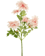 La Fleur Artificielle Dahlia 68 cm rose possède une seule tige verte avec plusieurs fleurs de dahlia rose clair et des feuilles vertes, sur un fond uni blanc.