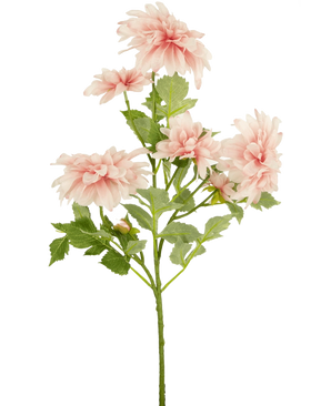 La Fleur Artificielle Dahlia 68 cm rose possède une seule tige verte avec plusieurs fleurs de dahlia rose clair et des feuilles vertes, sur un fond uni blanc.