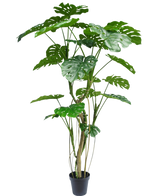 La plante artificielle Monstera 210 cm est une plante en pot haute avec plusieurs longues tiges et de grandes feuilles vertes fendues et brillantes qui ressemblent à un véritable monstera. Montré ici sur un fond blanc uni.