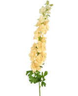 Une seule fleur artificielle Delphinium 105 cm crème avec plusieurs fleurs jaune clair et feuilles vertes, sur un fond blanc uni.