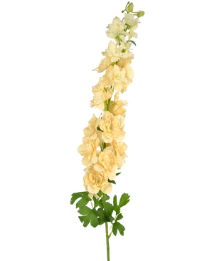 Une seule fleur artificielle Delphinium 105 cm crème avec plusieurs fleurs jaune clair et feuilles vertes, sur un fond blanc uni.