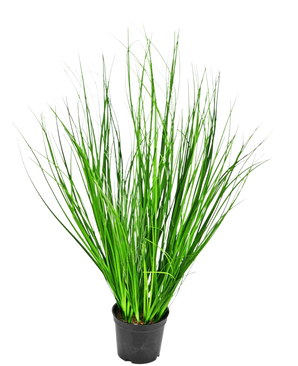 Le gazon artificiel oignon 58 cm ignifuge est une haute herbe décorative avec de fines lames vertes dans un pot en plastique noir, représentée sur un fond blanc uni.