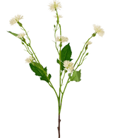 La fleur artificielle Daisy Spray 54 cm White Ray a une seule tige verte avec des bouquets ramifiés de petites fleurs blanches ressemblant à des marguerites et des feuilles vertes irrégulières, sur un fond blanc uni.