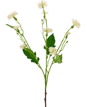 La fleur artificielle Daisy Spray 54 cm White Ray a une seule tige verte avec des bouquets ramifiés de petites fleurs blanches ressemblant à des marguerites et des feuilles vertes irrégulières, sur un fond blanc uni.
