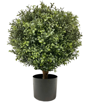 Le Buis Artificiel sur tige UV 40 cm est une forme ronde et touffue verte aux feuilles denses dans un pot simple noir, sur un fond uni blanc.